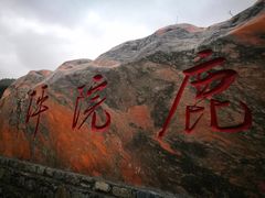 -鹿院坪生态旅游景区