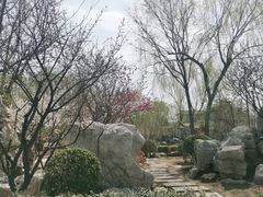 -桃花堤公园