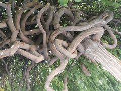 -西宁市东关清真大寺