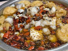 -黑皮酸菜鱼(绣花巷店)