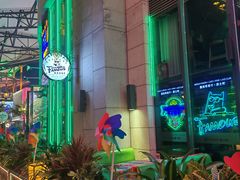 -Famous肥猫墨西哥音乐餐吧(五棵松华熙LIVE店)