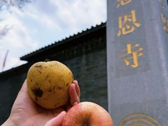 -慈恩寺