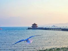 景点-栈桥景区