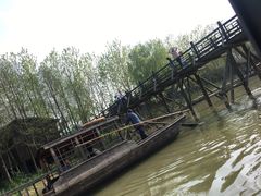 -溱湖国家湿地公园