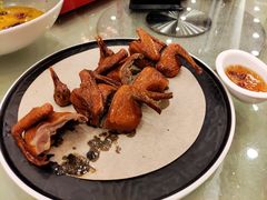 乳鸽-顺风山庄(水濂山店)