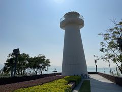 -深圳湾公园(南山区)