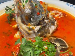 -坛宗剁椒鱼头(河西王府井店)