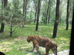 -北京野生动物园