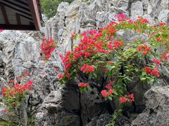 -惠州西湖风景名胜区-丰渚园