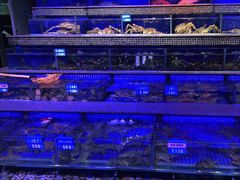 -青蓬蒸汽海鲜·深圳老字号·团建聚会(壹方城店)