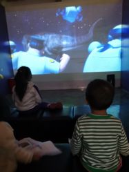 -恐龙探索乐园(磁器口店)