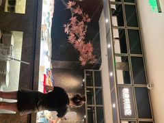 门面-半岛翡丽海鲜自助餐厅(观风亭店)