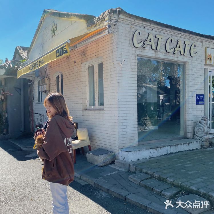 北京探店｜在后海街边遛兔子🐰
