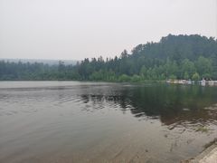 -五营红松林海景区