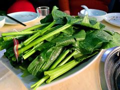 菠菜-和庆斋羊蝎子火锅·碳缸烧烤(顺义旗舰店)