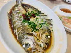 白鱼-红樽舫湖州菜.湖景餐厅(太湖渔人码头店)