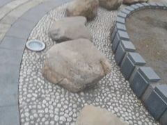-黛秀湖公园