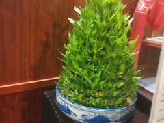 -裕和堂中医推拿艾灸(太古汇臻品店)