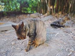 -苏州河梦清园环保主题公园