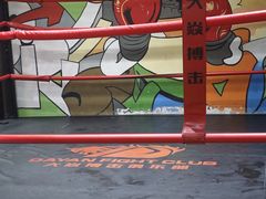 -大焱搏击·泰拳·拳击俱乐部(大柏树店)