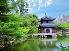 -水绘园