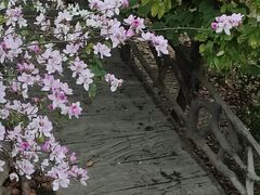 -龙门水都景区
