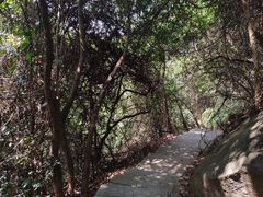 -广州市帽峰山景区