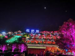 -枇杷园食为鲜火锅(南山店)