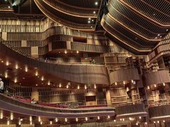 -交通银行前滩31演艺中心