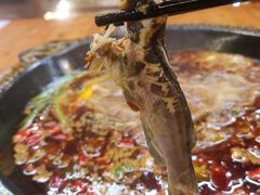 -三道苗苗鱼·美蛙黄辣丁(八里店)