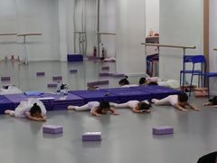 -西安小天鹅艺术团(金花路校区)