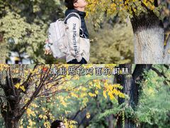 -罗布林卡