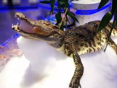-澜悦港海鲜体验主题餐厅