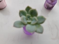 点击看大图 -尚艺造型.剪烫染.接发