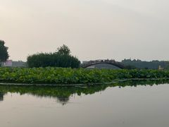-白洋淀景区