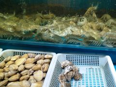 -渔满仓海鲜楼