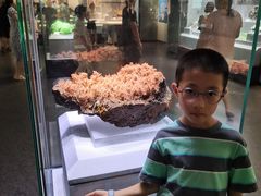 -湖南省地质博物馆