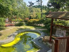-东海森林温泉