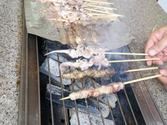 -吴淞炮台湾湿地森林公园烧烤区