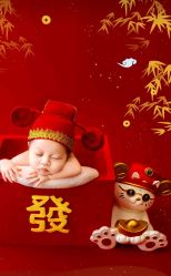 -挚纯baby儿童摄影(庐阳区店)