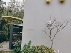 -麦当劳(浦珠路得来速店)