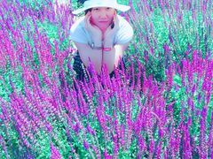 -北纬44度·金珠花海休闲农业旅游景区