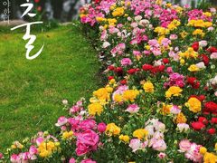 -徐家汇公园