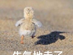 -胡桃里音乐酒馆(曲江店)