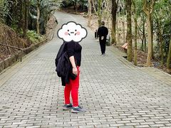 -滴水岩森林公园