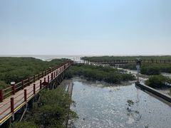 -北海金海湾红树林生态旅游区