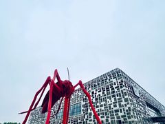 -莫子山公园
