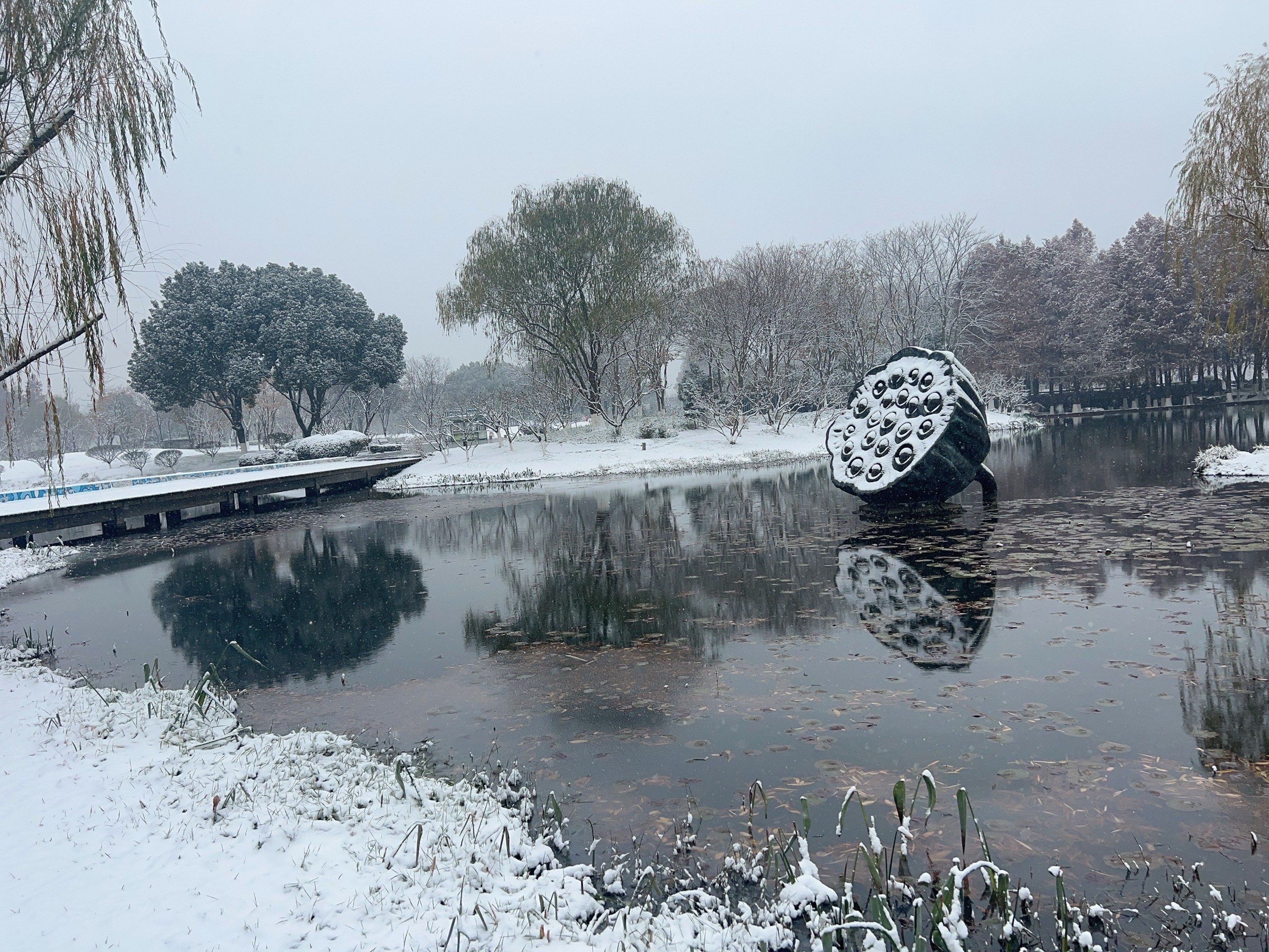 雪天风景照图片