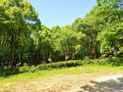 -紫金山山顶公园