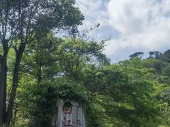 -广州白江湖森林公园